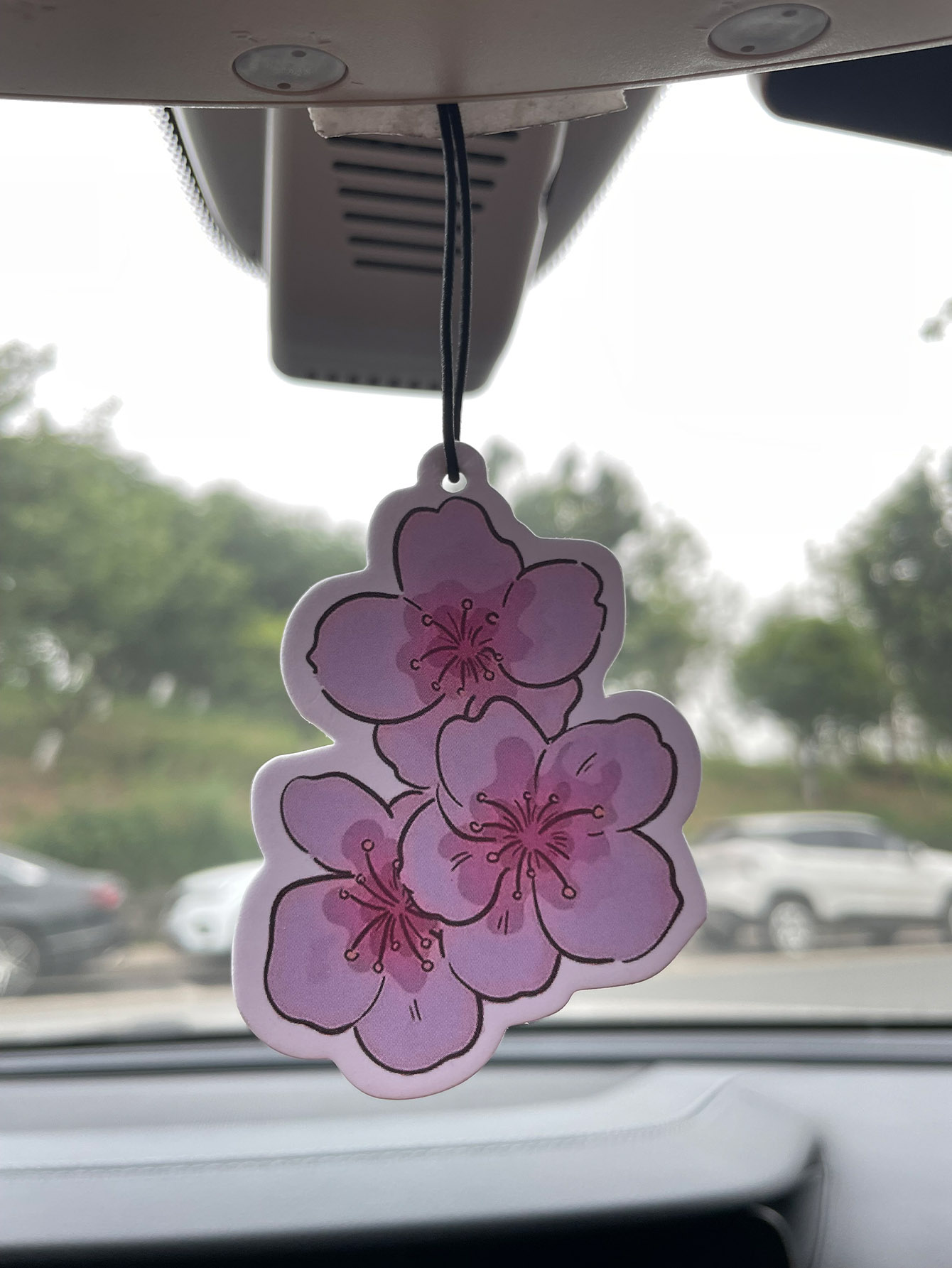 Sakura/Freesia Fresh Scent Fiv - Home Fragrance Use review and price