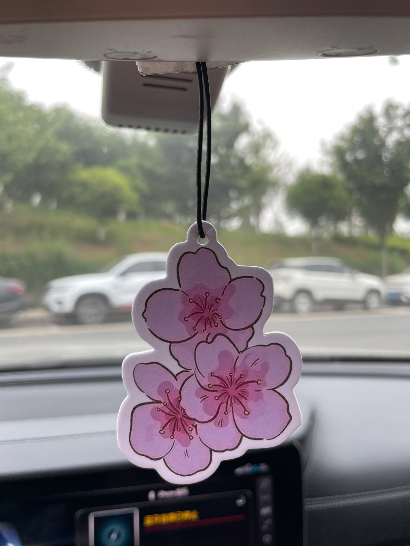 Sakura/Freesia Fresh Scent Fiv - Home Fragrance Use review and price